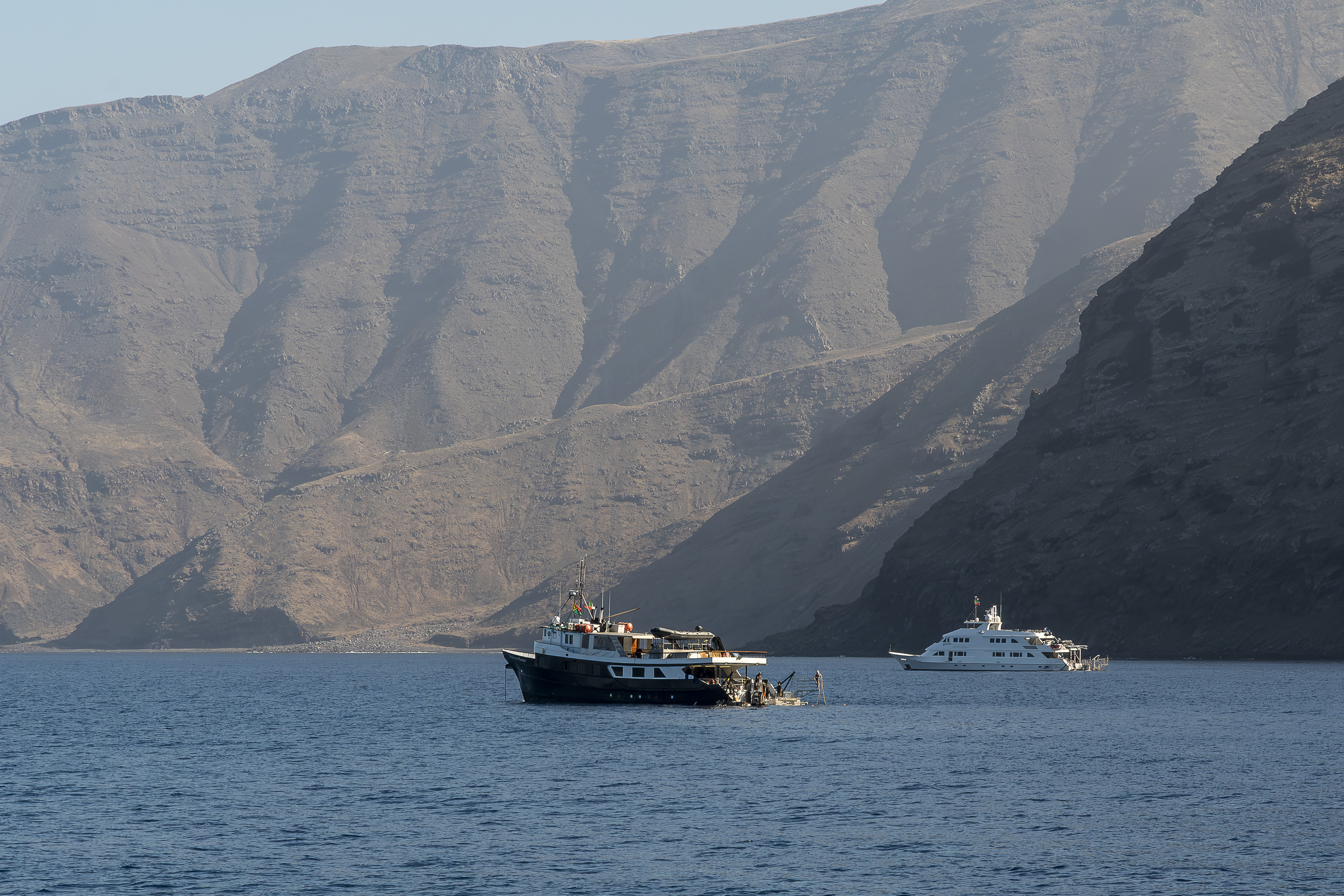 Guadalupe Island