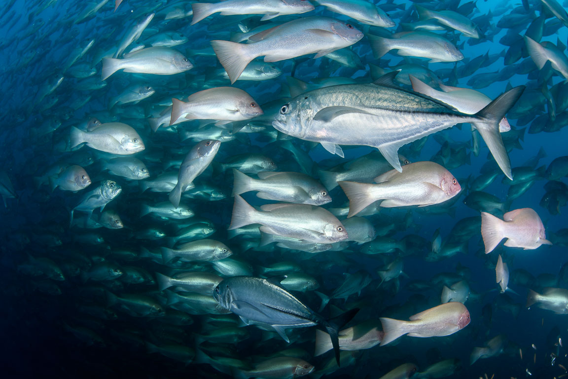 TG_465_31-Edit.jpg TG_465_31-Edit.jpg