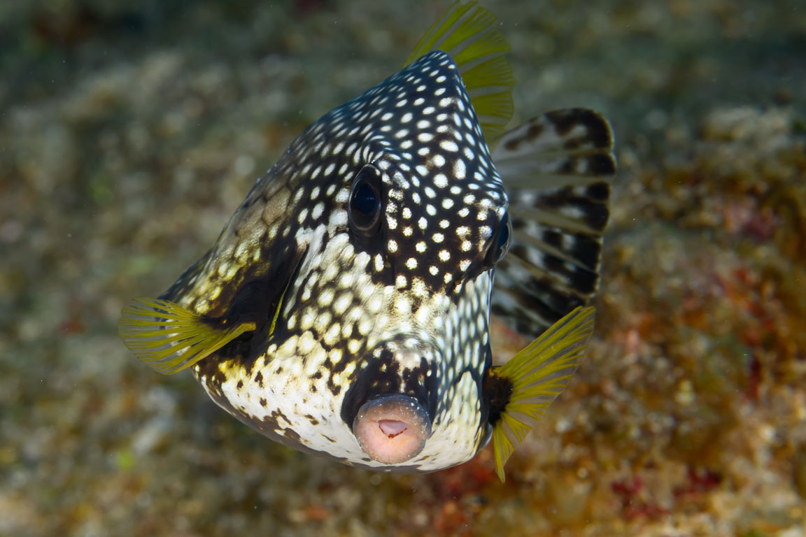 TG_541_07.jpg