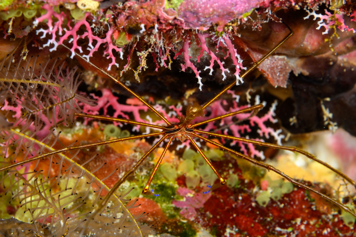 TG_544_09.jpg