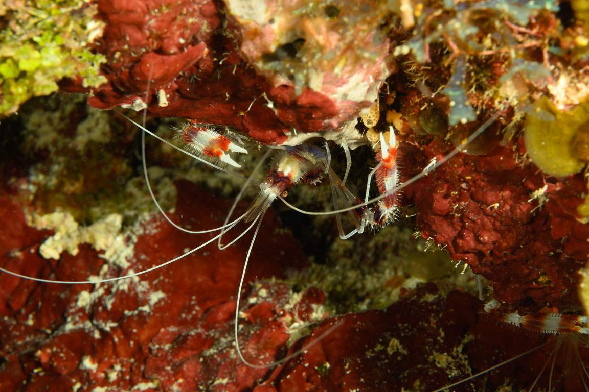 TG_555_16.jpg