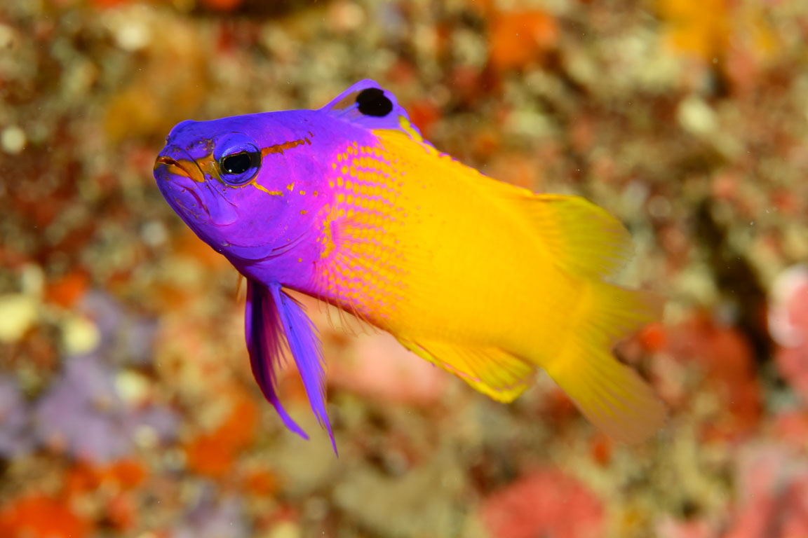 TG_555_26.jpg