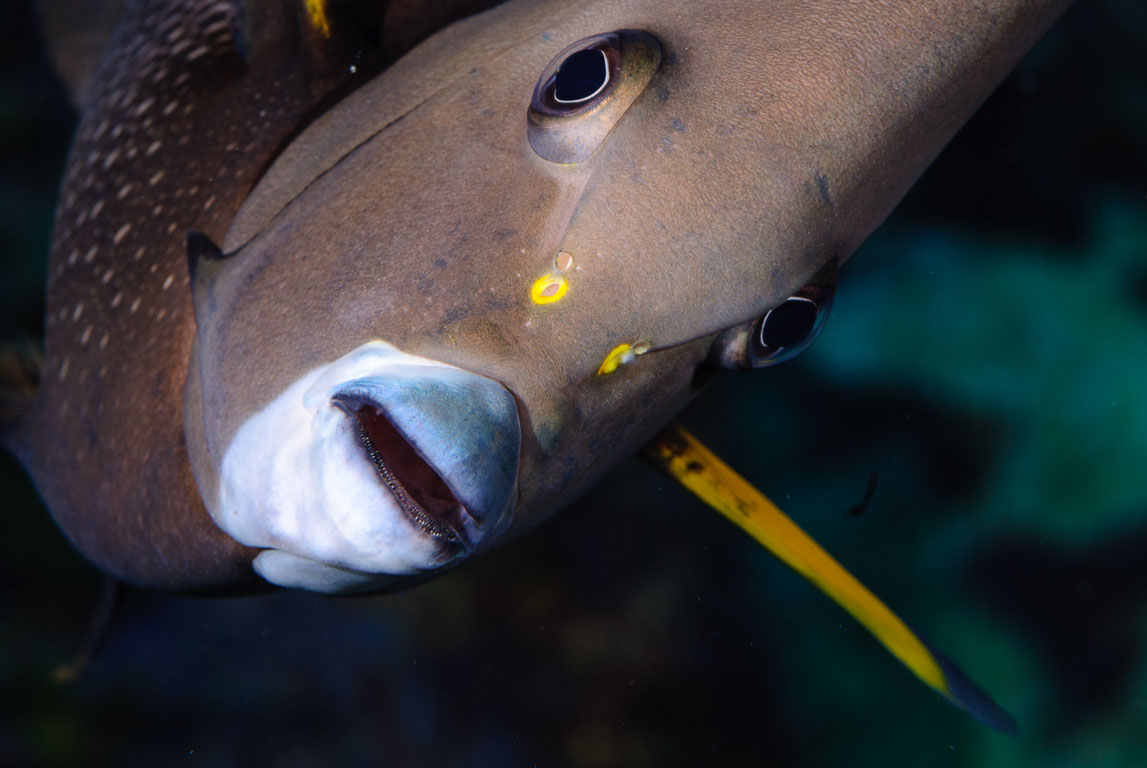 TG_174_19.jpg