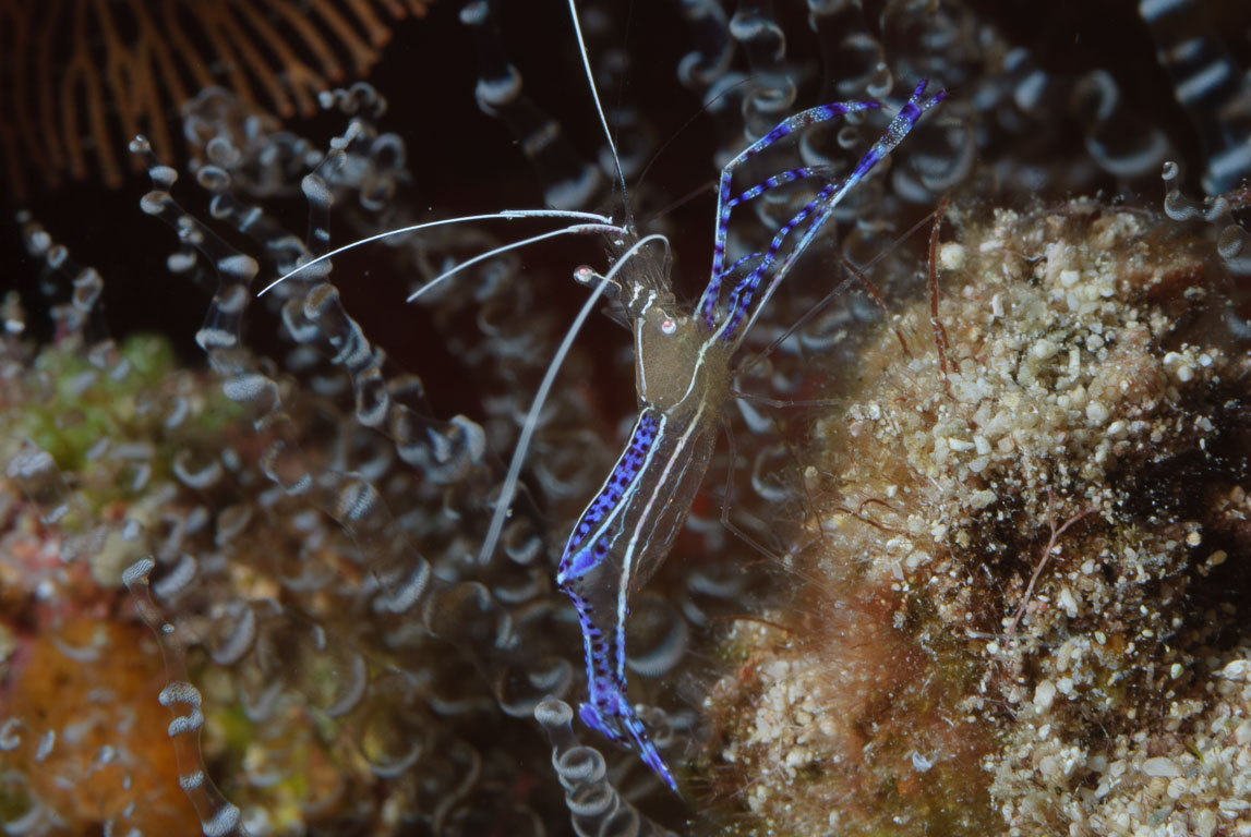 TG_233_24.jpg