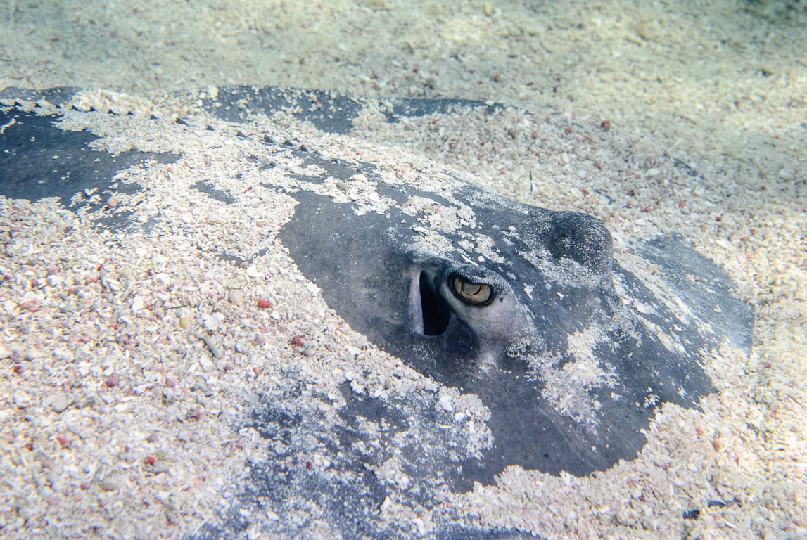 TG_270_104.jpg