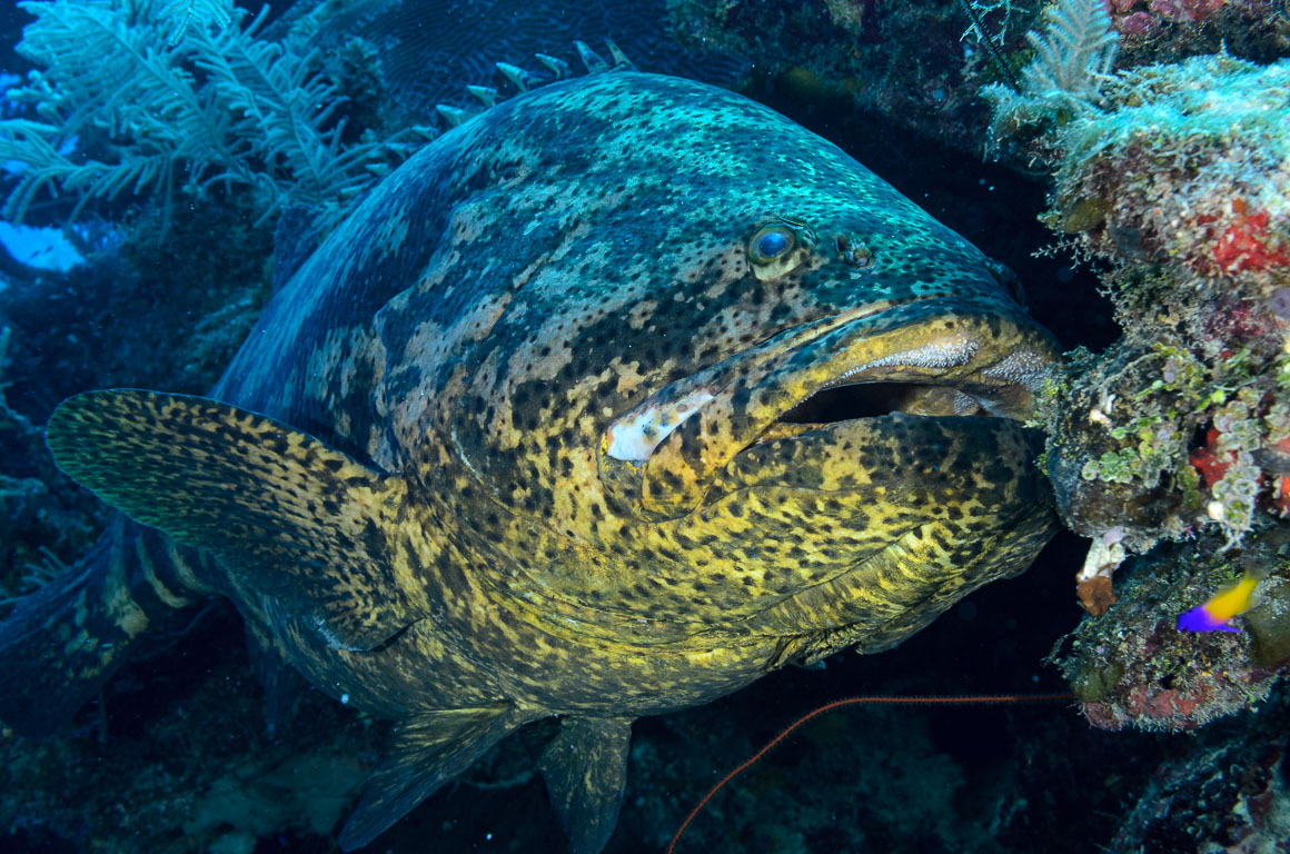 TG_314_4.jpg