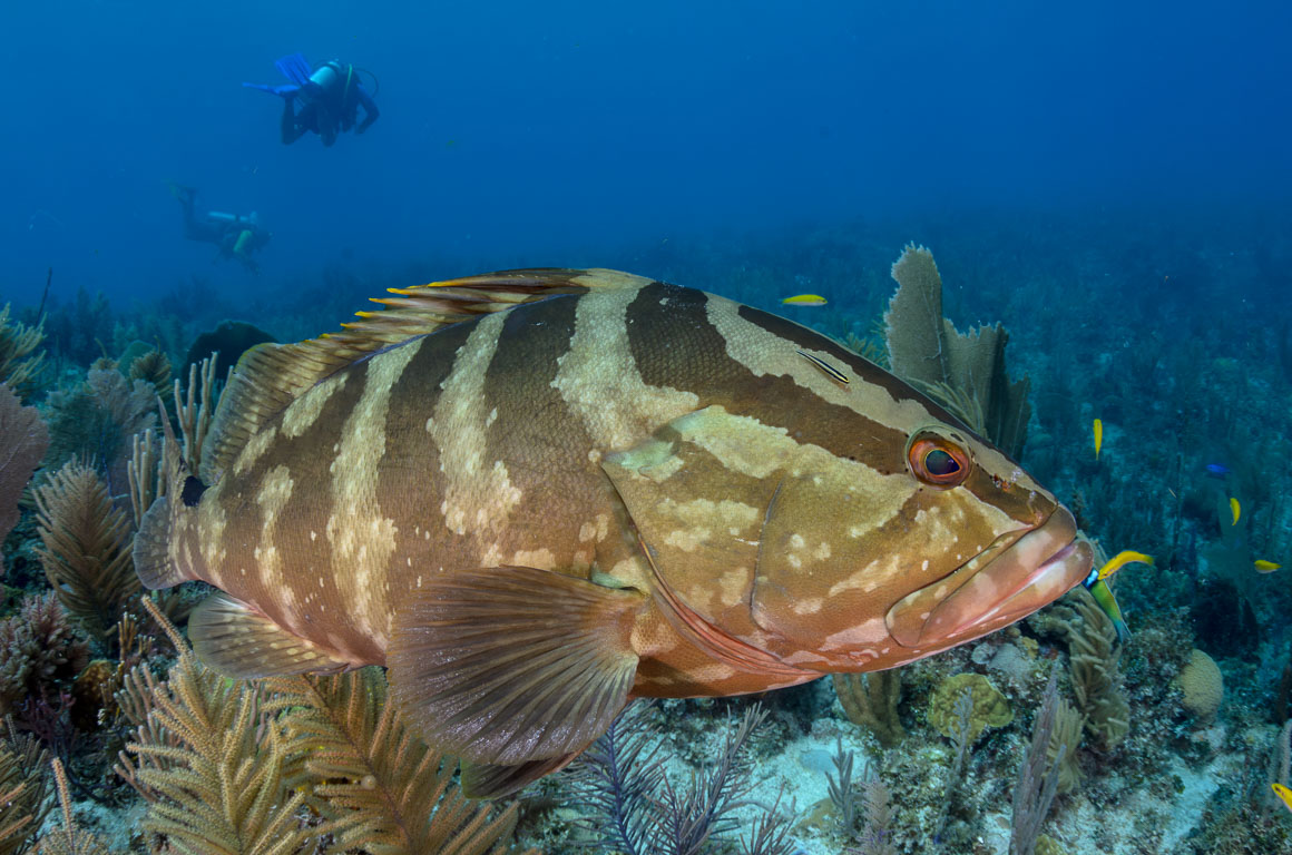 TG_377_176.jpg
