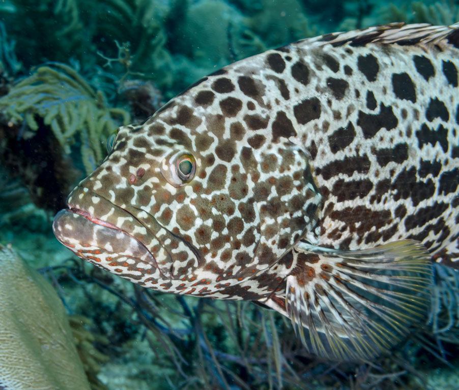 TG_379_110.jpg