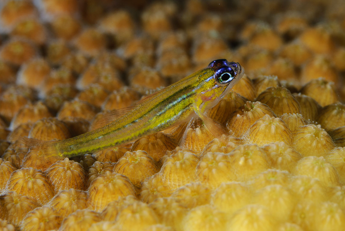TG_189_53.jpg