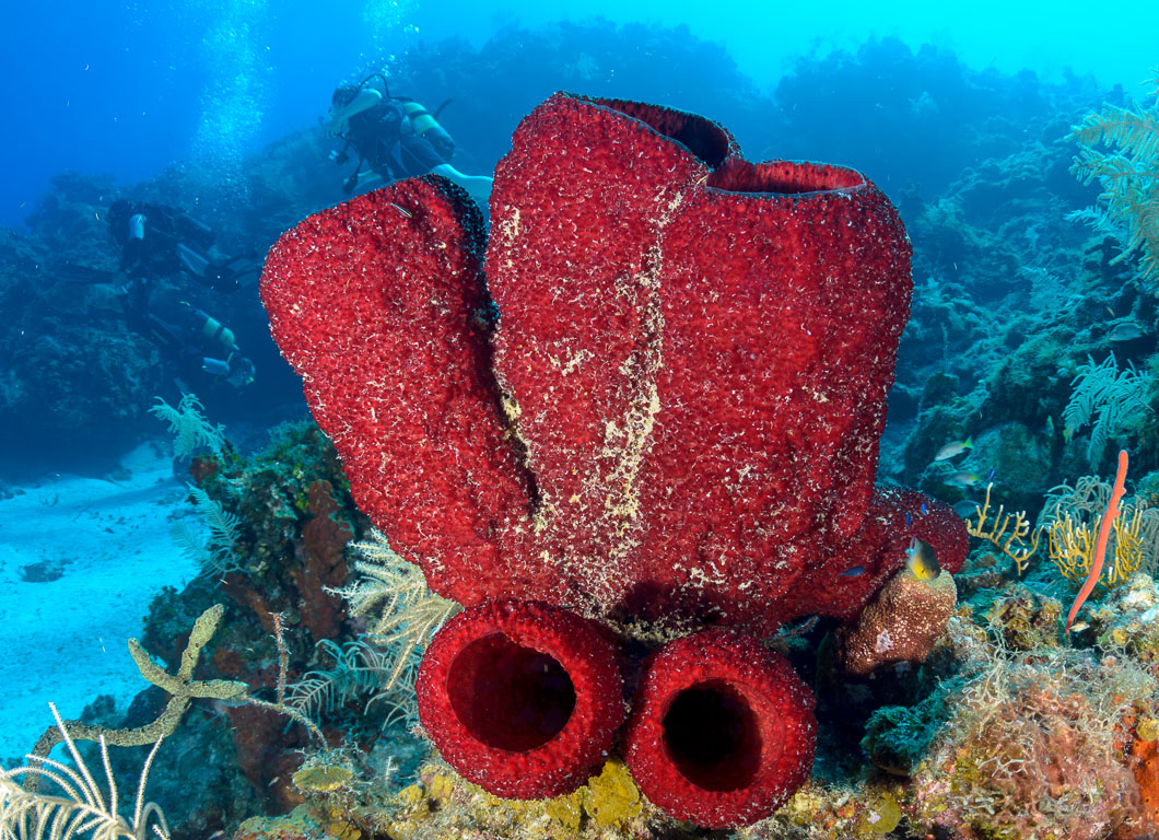 TG_303_34.jpg