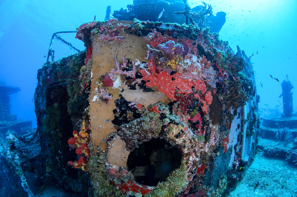 TG_363_11.jpg