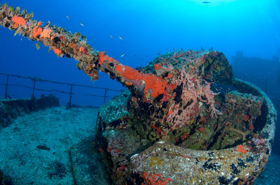 TG_363_71.jpg