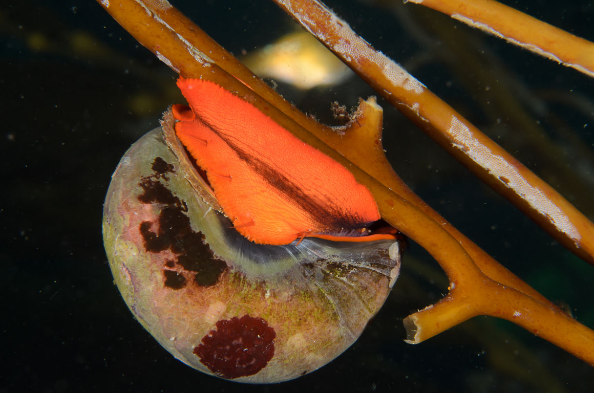 TG_345_37.jpg