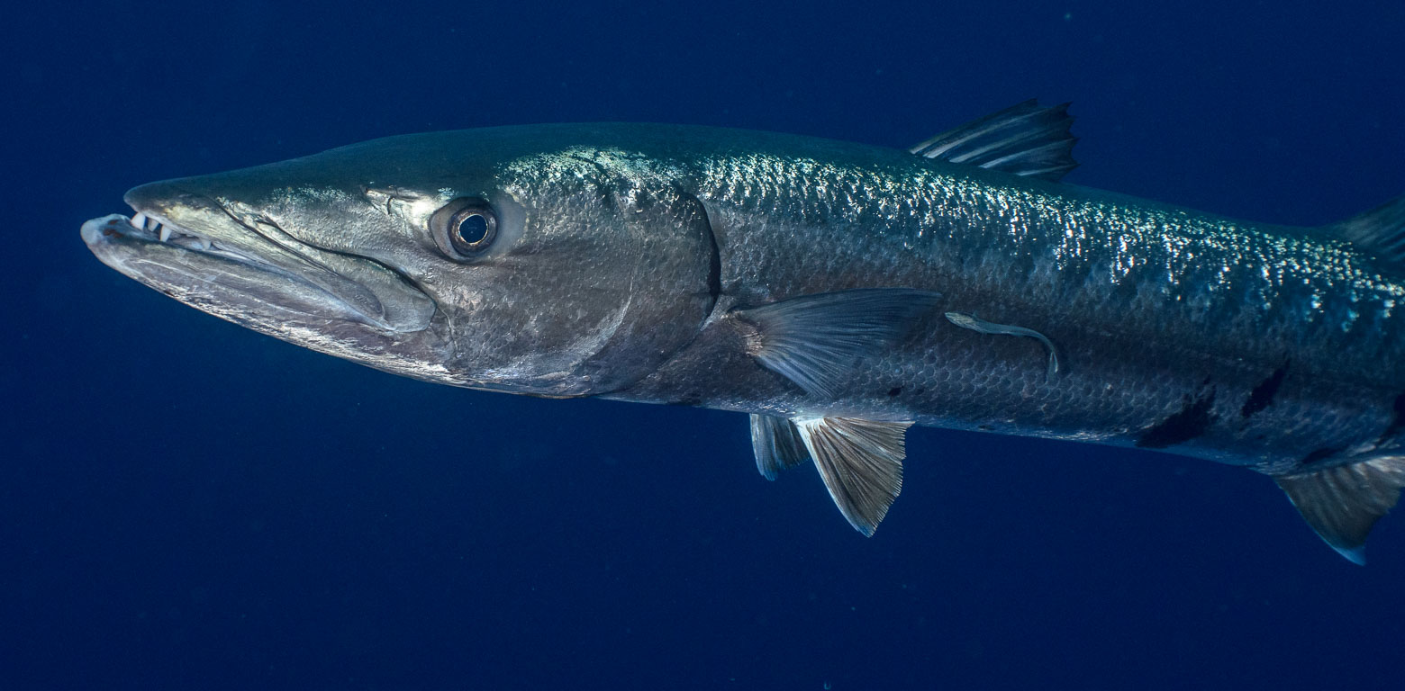TG_355_41.jpg